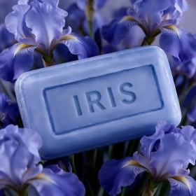 Savon Iris