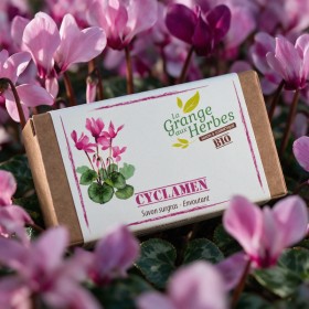 Savon Cyclamen