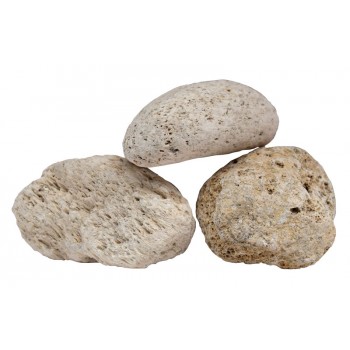 Genuine pumice stone