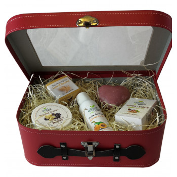 Valise luxe découverte Valise luxe découverte