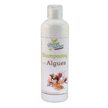 Algae shampoo
