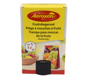 Piège à mouches à fruits intérieur prêt à Maroc